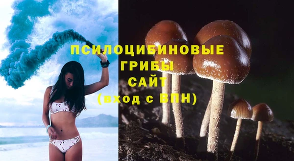 молекула духа Армянск