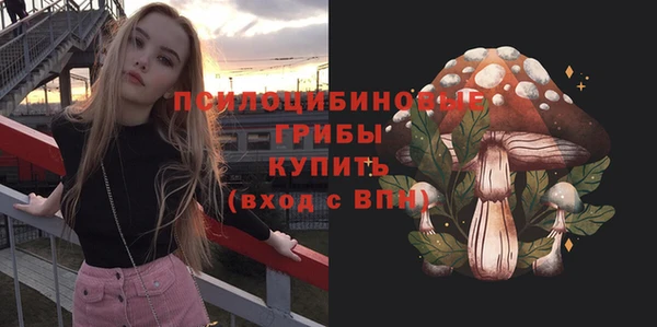 молекула духа Армянск